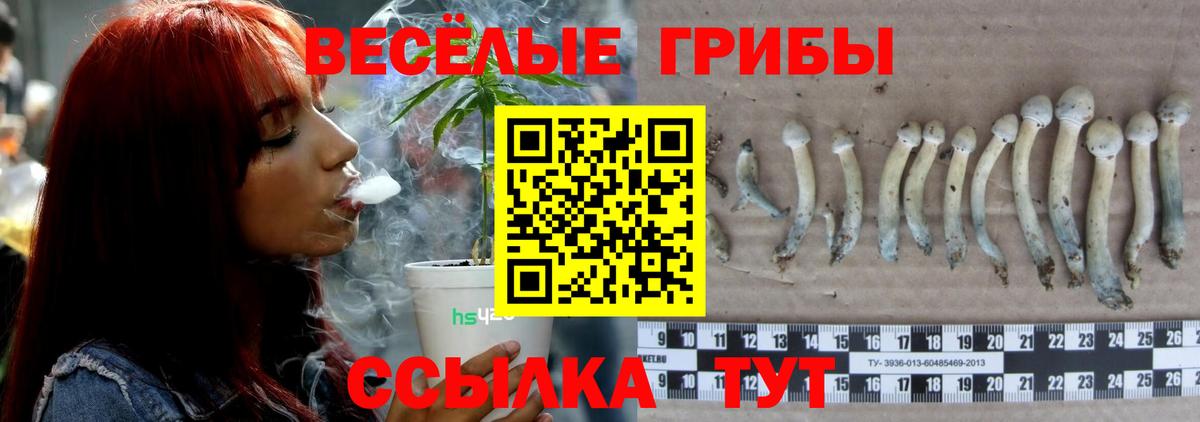 Псилоцибиновые грибы Psilocybine cubensis Южно-Сахалинск